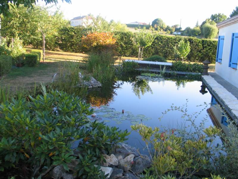 Bassin de jardin à Biscarosse en Nouvelle Aquitaine