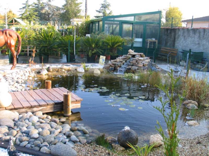 Conception et aménagement d'un bassin à poisson pour une jardinerie à Blagnac