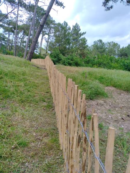 Réalisation d'une clôture en ganivelle en châtaignier  à Biscarosse près du Bassin d'Arachon